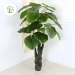 Τεχνητό Φυτό Alocasia Odora PA06/150 Εκλεπτυσμένο Χωρίς Γλάστρα, 150εκ Πράσινο - Αρμονικό και Ιδανικό για Στυλιστικές Πινελιές
